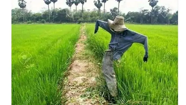 6 Orang-Orangan Sawah Antimainstream Ini Bikin Geleng Kepala
