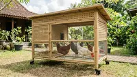 5 Desain Kandang Ayam Multifungsi Modern Hemat Lahan, Solusi untuk Peternak Urban