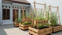 8 Desain Kebun Sayur Rumahan yang Cocok untuk Halaman Paving, Anti Becek