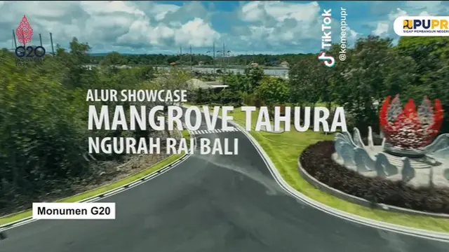 Mangrove G20