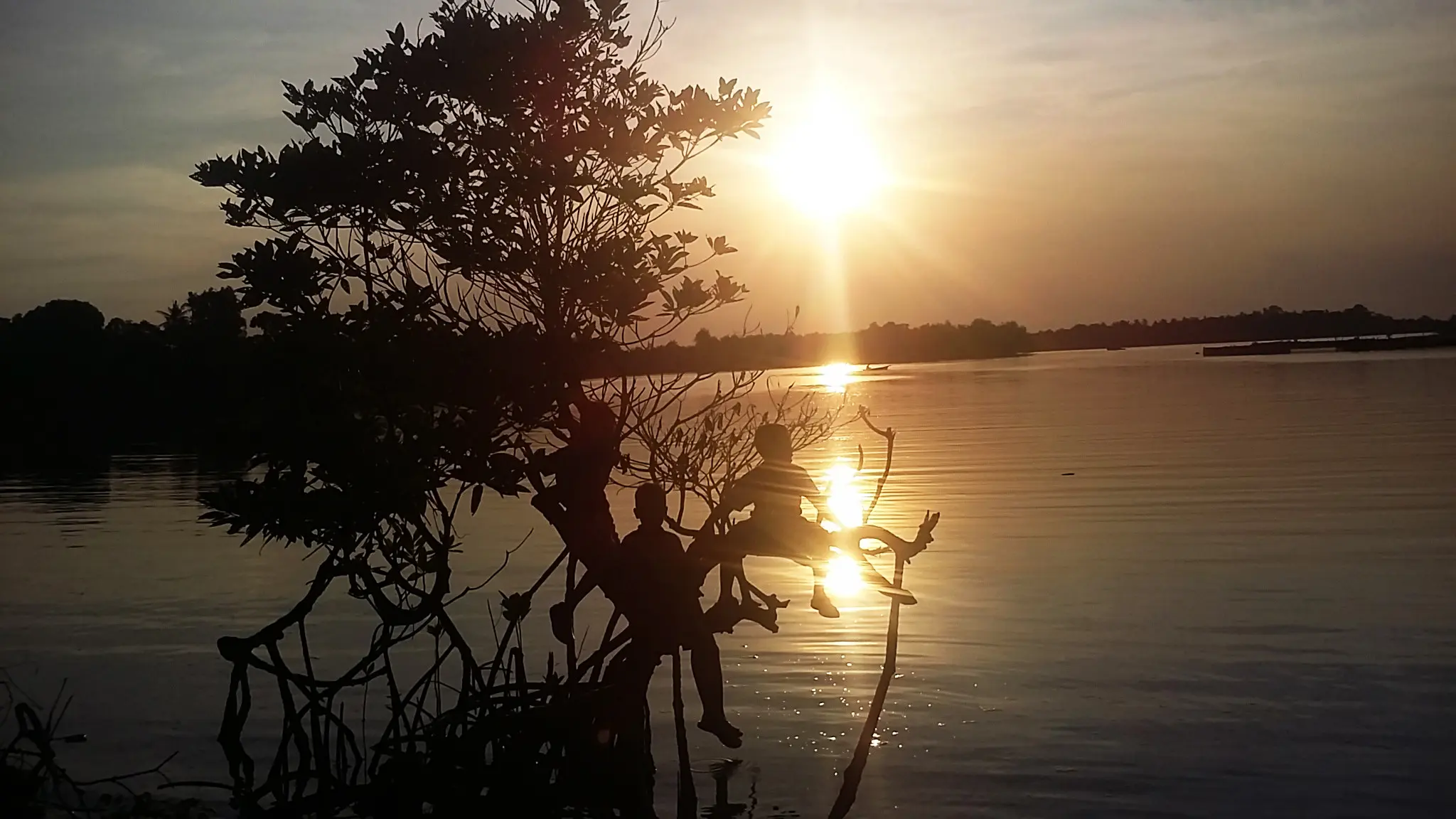 Suasana senja di kawasan pantai Tanjung Bukit Raya Botania, Batam, Kepulauan Riau. (Liputan6.com/Ajang Nurdin)