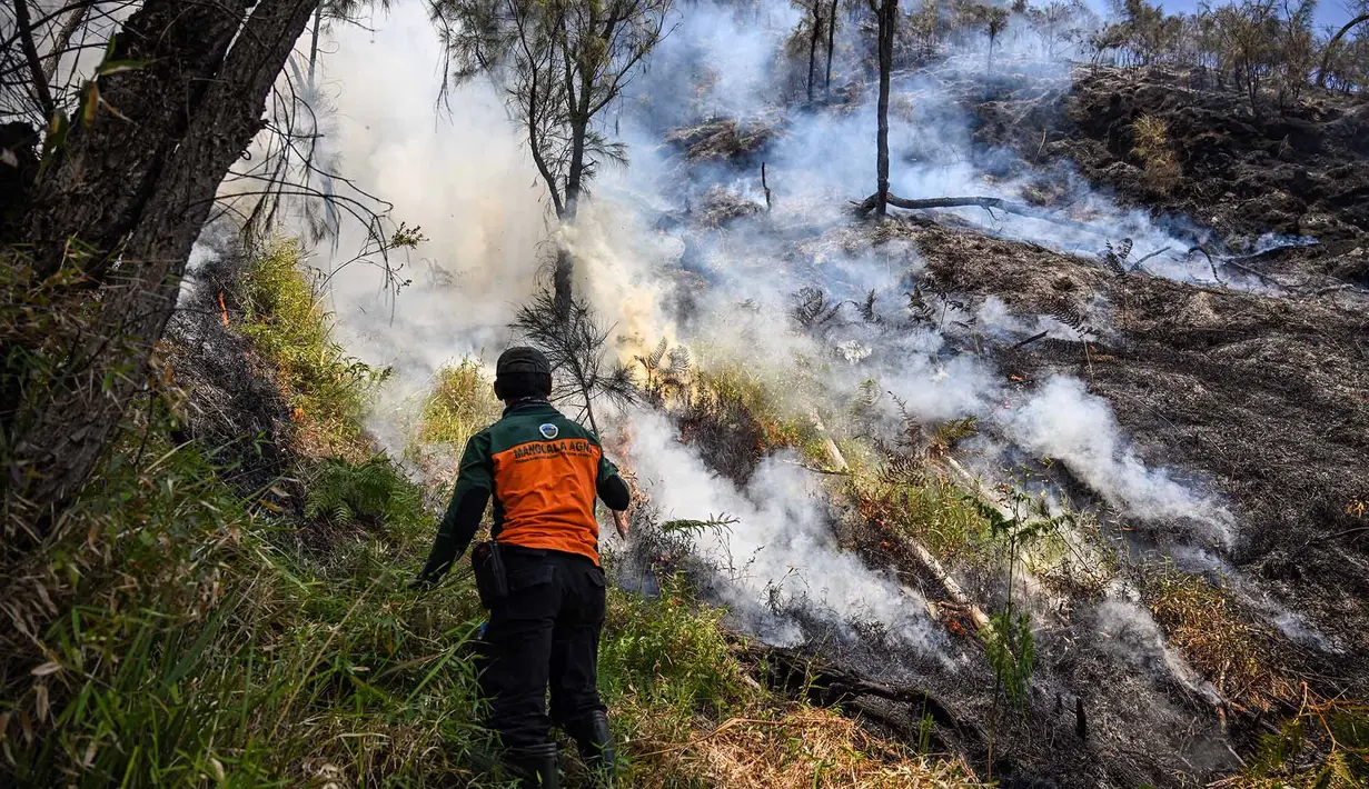 Petugas berupaya memadamkan kebakaran hutan di kawasan Taman Nasional Bromo Tengger Semeru (TNBTS), Kabupaten Probolinggo, Jawa Timur, Kamis (6/8/2026). (AFP/ Juni Kriswanto)