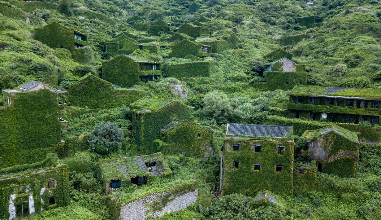 Kondisi sejumlah rumah yang ditutupi tumbuhan di Houtouwan di pulau Shengshan, provinsi Zhejiang, China (31/5). Rumah-rumah yang ditutupi dengan tumbuhan ini seolah-olah seperti disegel dalam lapisan hijau yang lebat. (AFP/Johannes Eisele)
