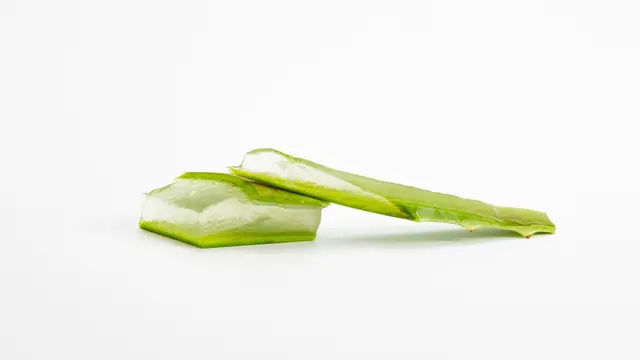 Potongan lidah buaya