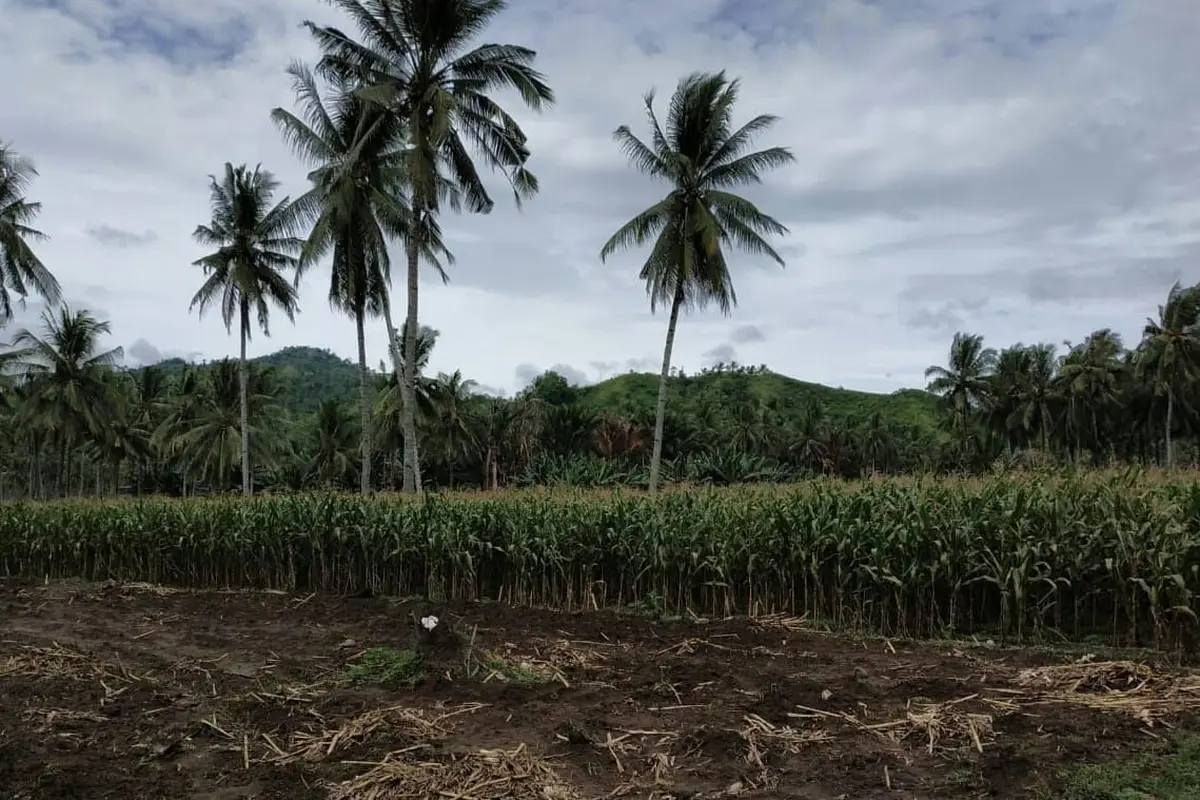 Indonesia bagian selatan mengalami kemarau, sedangkan wilayah ekuator masih berpotensi curah hujan tinggi.