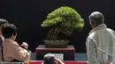 Pengunjung melihat bonsai yang ditampilkan saat Konvensi Bonsai Dunia ke-8 di Saitama, Tokyo, Jepang, Sabtu (29/4). Lebih dari 300 pohon dipajang yang berasal dari 40 negara di dunia. (AFP PHOTO / Kazuhiro NOGI)