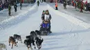 Juara Iditarod empat kali, Martin Buser dan gerombolan anjingnya mengikuti perlombaan kereta luncur anjing Trail Iditarod di Anchorage, Alaska, 2 Maret 2019. Sekitar 52 penggembala akan memulai balapan selama delapan hingga 9 hari. (AP/Michael Dinneen)