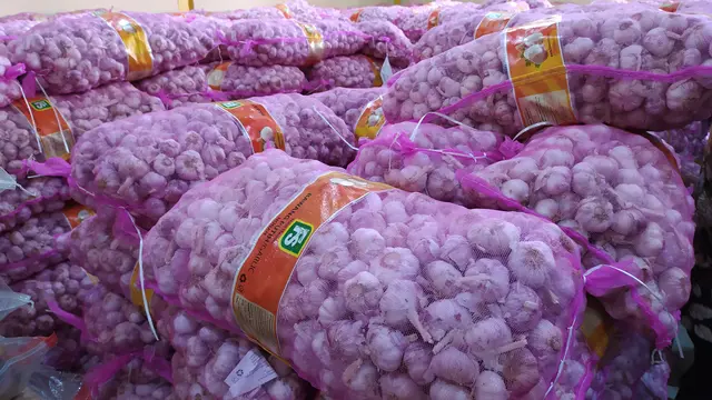 Bawang Putih