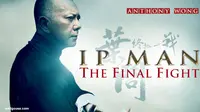 Ip Man: The Final Fight Siap Tayang di Dunia dan Amerika
