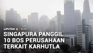 Diduga Pemicu Karhutla, 10 Petinggi Perusahaan Dipanggil Wakil PM Singapura