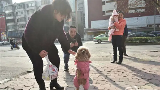 Aksi Anjing Berjalan dengan Dua Kaki Ini Jadi Viral di Internet
