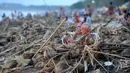 Wisatawan mancanegara duduk di dekat sampah yang terdampar akibat cuaca buruk di Pantai Kuta, Bali, Jumat (15/2). Sampah bervolume besar kembali menepi di Pantai Kuta, kali ini pesisir pantai dipenuhi sampah buah kelapa. (SONNY TUMBELAKA/AFP)