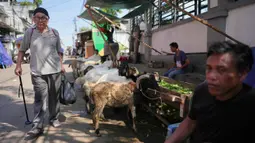 Seorang pria berjalan melewati kambing-kambing yang dipajang untuk pelanggan di sebuah kios pinggir jalan menjelang Hari Raya Idul Adha 1447 Hijriah di Jakarta, Selasa 26 Mei 2026. (AP Photo/Dita Alangkara)