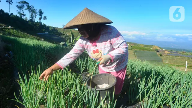 Petani Keluhkan Harga Pupuk