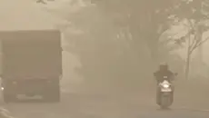 Kabut Asap Kebakaran Hutan Selimuti Kapuas, Jarak Pandang 100 Meter