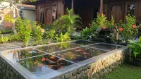 8 Ide Kolam Ikan Depan Rumah Tanpa Galian yang Aman untuk Balita Namun Tetap Menarik