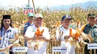 Staf Ahli Menteri Pertanian Bidang Lingkungan melakukan panen perdana jagung hibrida di Aceh Tenggara. (Foto: Kementerian Pertanian)