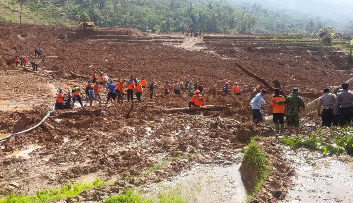 Sejumlah petugas penyelamat melakukan pencarian korban longsor di Desa Pasir Panjang, Salem, Brebes, Jawa Tengah, Jumat (23/2). Bencana longsor itu menimpa sejumlah warga yang sedang mengolah lahan pertanian di dekat kawasan hutan tersebut. (AP Photo)