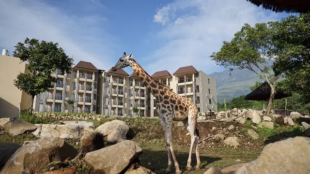 Taman Safari Prigen