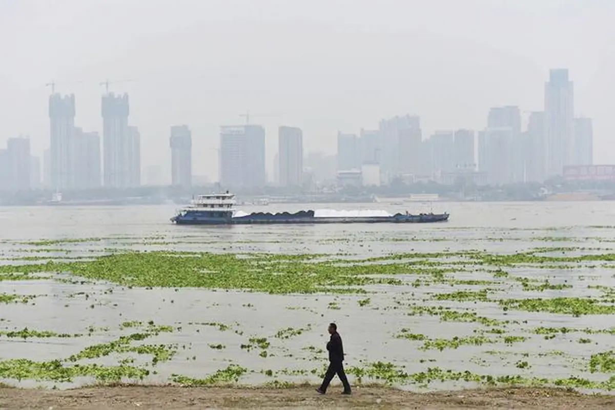 Sungai Yangtze