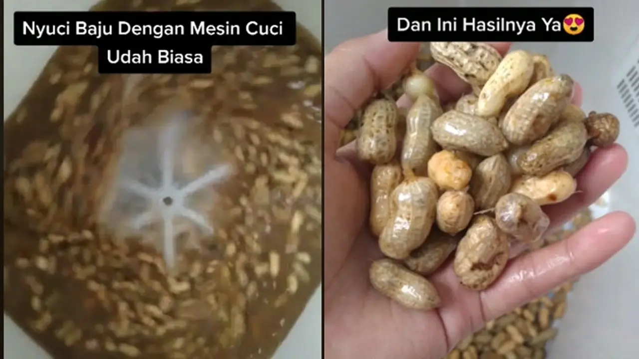 Viral Bersihkan Kacang Tanah Pakai Mesin Cuci, Bikin Geleng Kepala