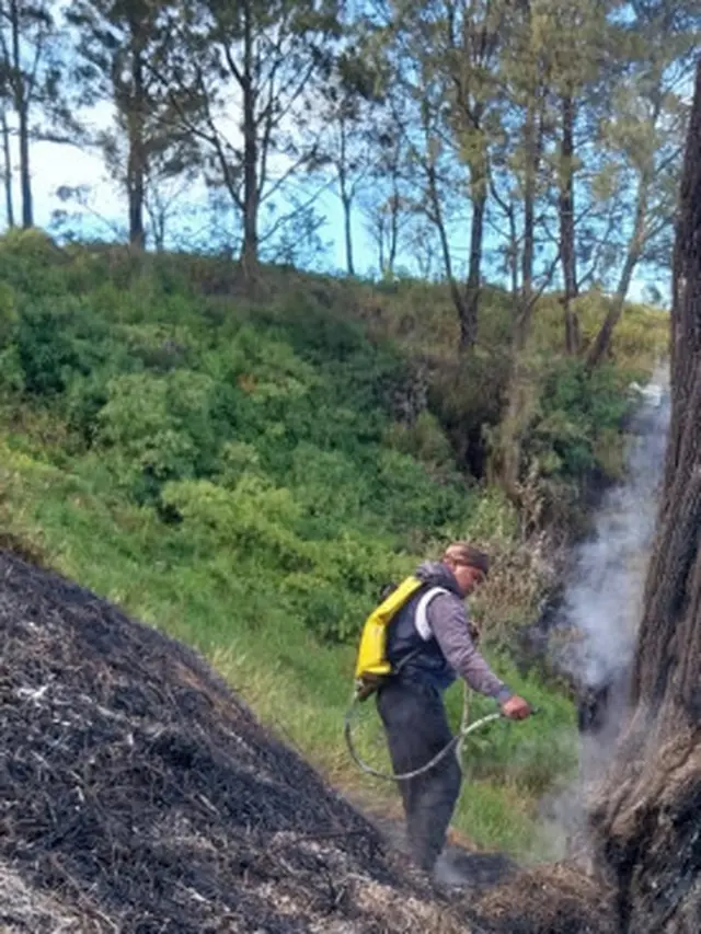 Kebakaran di Bromo  Sebabkan 1 Hektar Lahan Hutan di Bukit Kedaluh Hangus