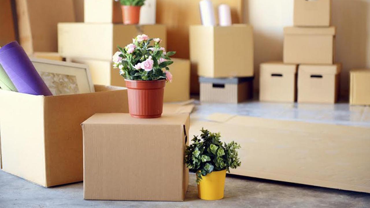 20170504-biaya pindah rumah-rumahcom-boy