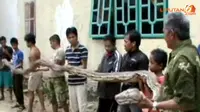 [VIDEO] Warga Bunuh Ular Piton Sepanjang 6,5 Meter