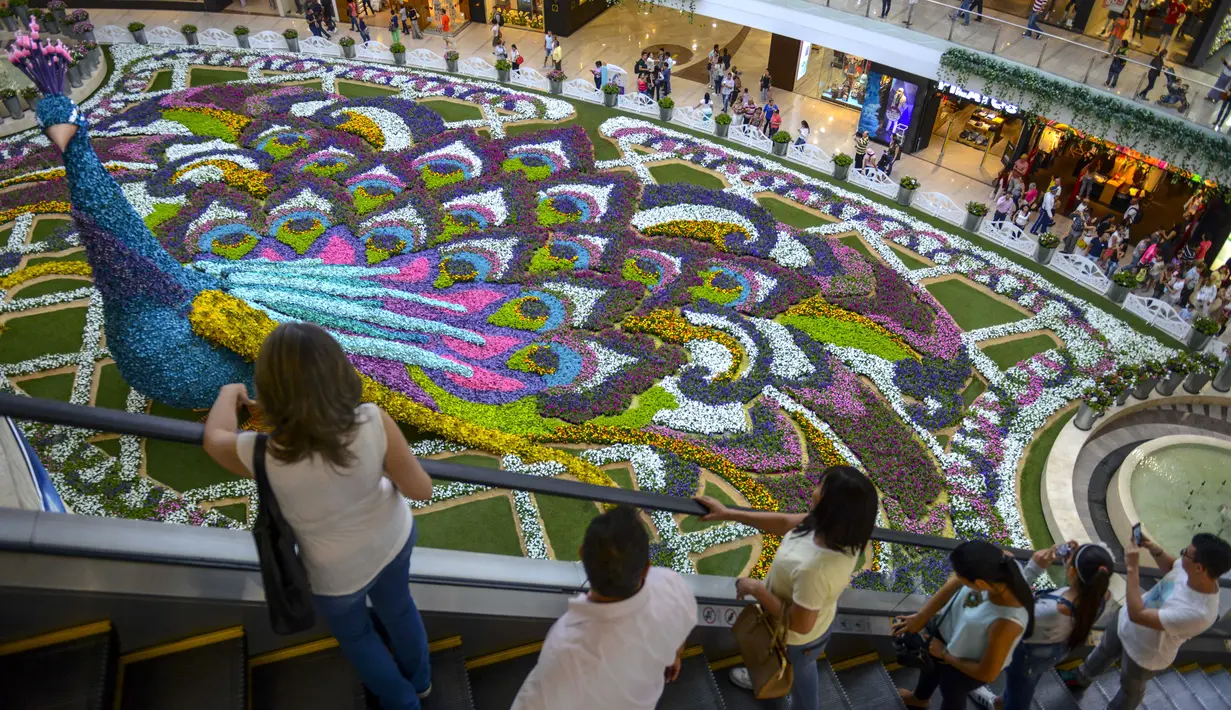 Sejumlah pengunjung melihat merak raksasa selama Festival Bunga di Pusat Perbelanjaan Santa Fe di Medellin, Kolombia (3/8). Merak yang terbuat dari 182.000 bunga ini memiliki panjang 12 meter (40 kaki). (AFP Photo/Joaquin Sarmiento)