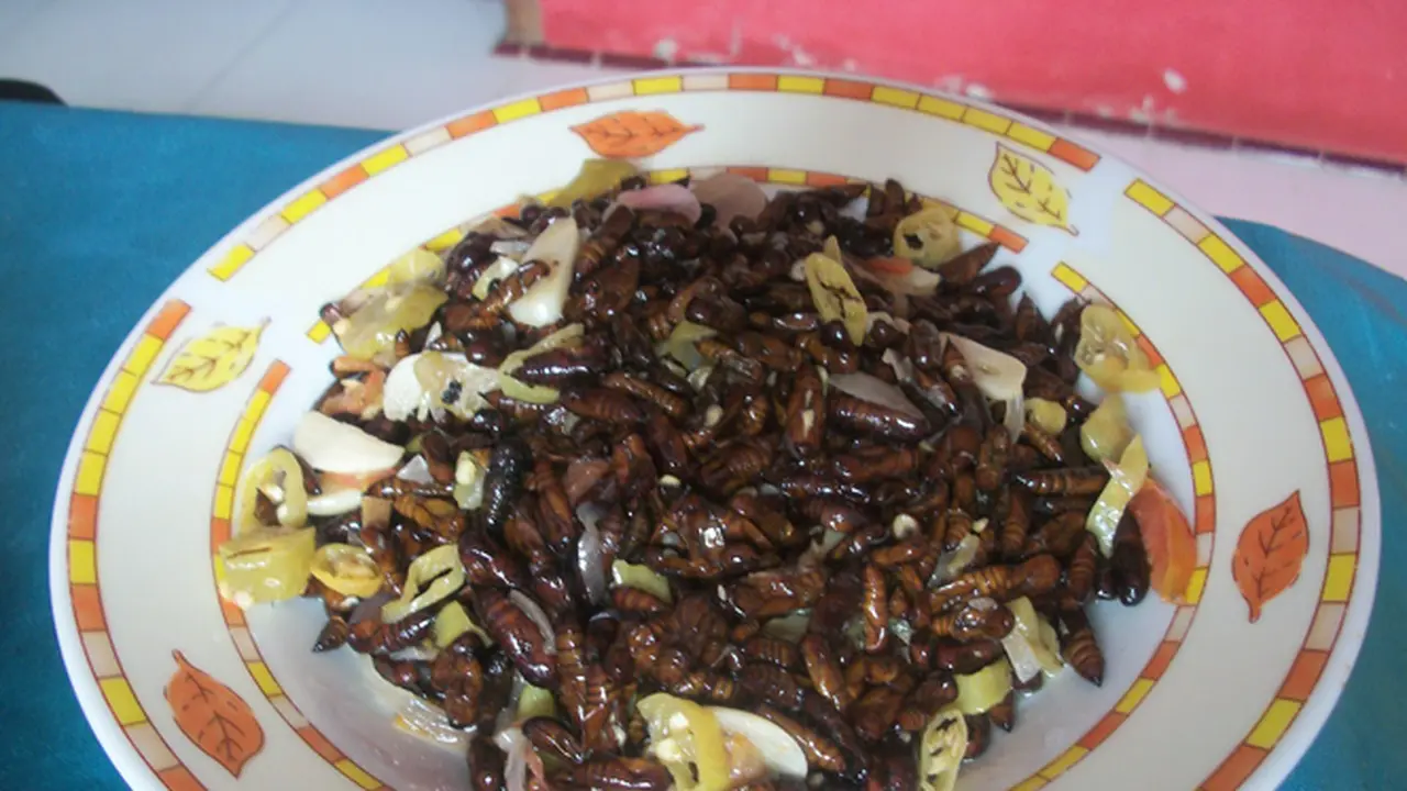 05122013-ungker.jpg