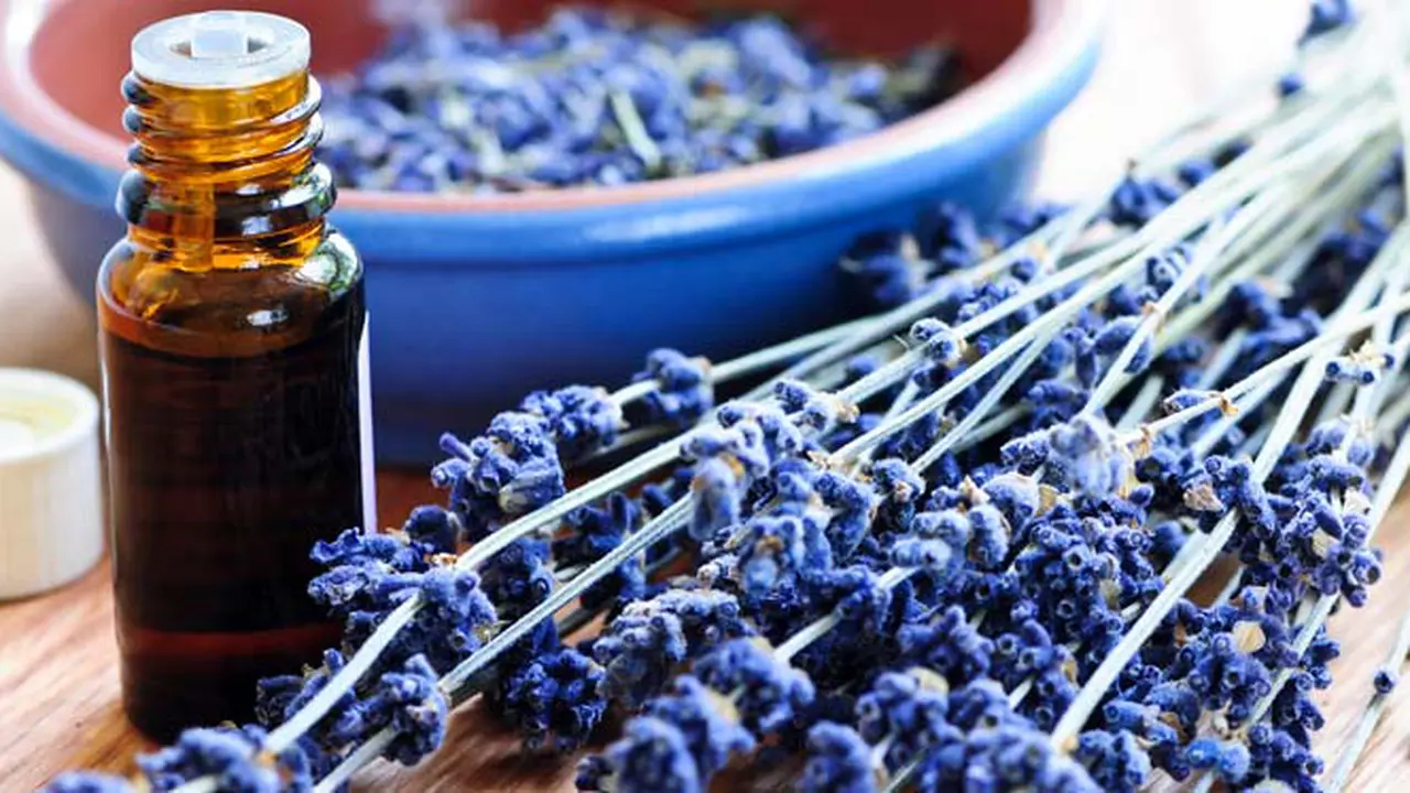 aroma-lavender-140203-a.jpg