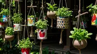 7 Inspirasi Teras dengan Pot Gantung, Sulap Teras Biasa Jadi Surga Hijau