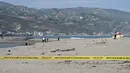 Mayat yang dimasukkan ke dalam drum ditemukan pada 31 Juli 2023 di Pantai Malibu, hotspot mewah California yang dicintai oleh orang kaya dan terkenal, kata polisi. (AFP/Robyn Beck)