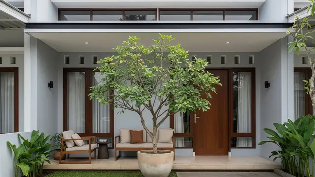 9 Model Rumah Teras Mini dan Pohon Pot Besar, Hunian Asri di Lahan Terbatas