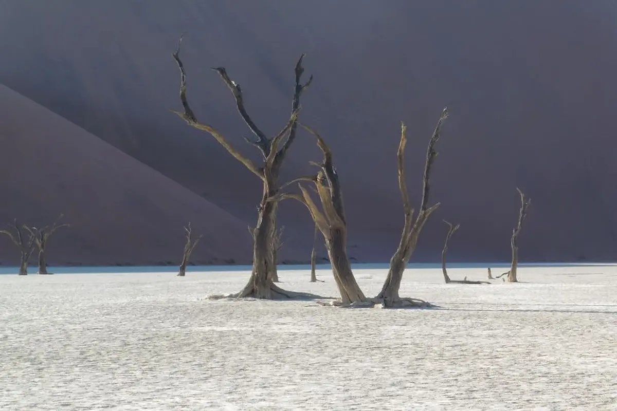 [Bintang] Namibia