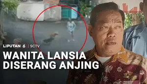 Jalan Kaki Seorang Diri, Wanita Lansia Diserang Anjing