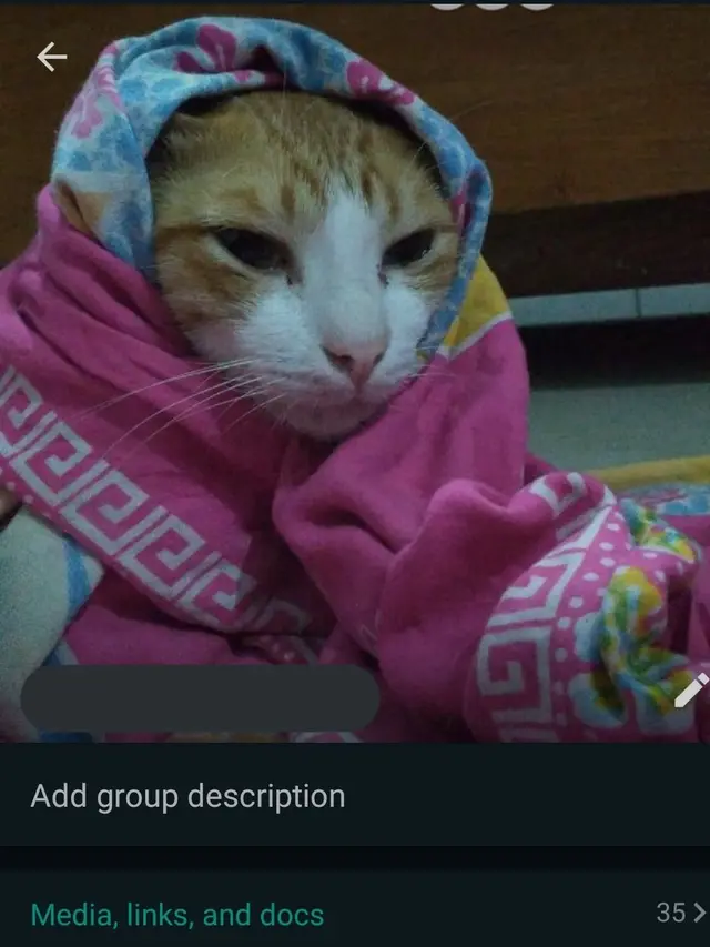 6 Foto Profil Grup WA Keluarga Ini Kocak, Setiap Chat Jadi Tahan Tawa