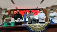 Polda sumbar merilis penangkapan pelaku yang terlibat jual beli satwa langka di Kabupaten Solok. (Liputan6.com/ Novia Harlina)