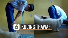 Si kucing ini memutari terus-menerus majikannya yang sedang salat.