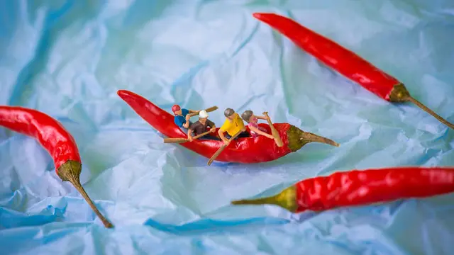 Diorama Berbahan Makanan