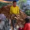 Singkong Bogor Menembus Pasar Dunia
