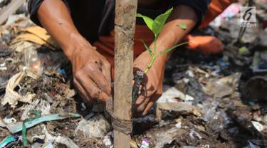 Menanam Bibit Mangrove di Tumpukan Sampah