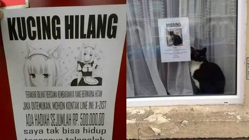 6 Pemberitahuan Kucing Hilang Ini Nyeleneh Banget, Curi Perhatian