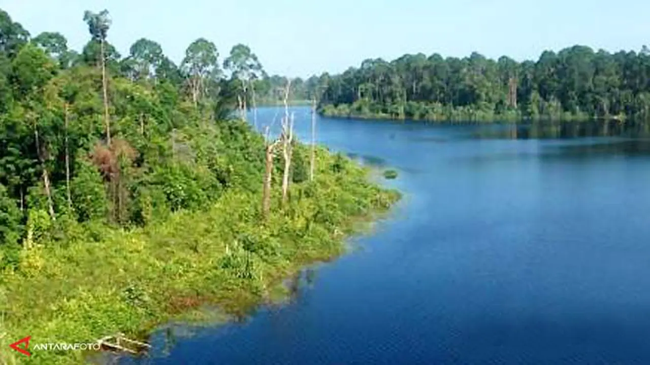 greenpeace-hutan-130606b.jpg
