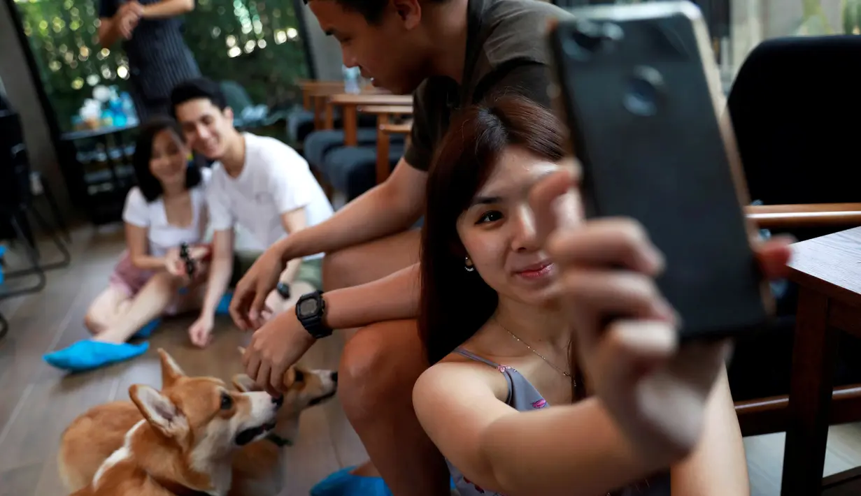 Seorang wanita berswafoto dengan anjing jenis Corgis di kafe anjing bernama Corgi In The Garden di Bangkok, Thailand. Untuk menghindari 12 hewan lucu tersebut dari rasa tertekan, pengelola juga memberlakukan sistem waktu bermain. (REUTERS/Soe Zeya Tun)
