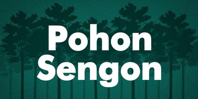 VIDEO: Mengenal Pohon Sengon yang Diduga Penyebab Listrik Padam