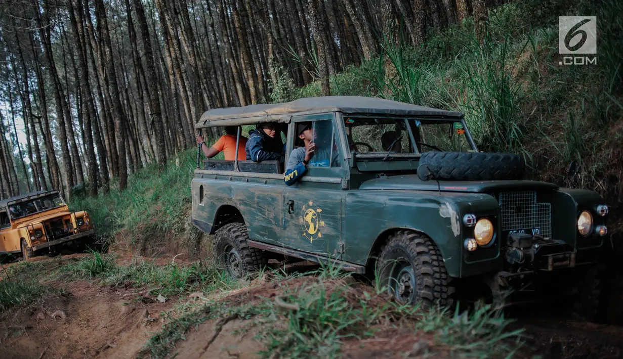Dua mobil offroad 4x4 klasik Land Rover melewati hutan pinus menuju trek Sukawana-Cikole di Kab Bandung Barat, Jawa Barat, Jumat (19/10). Wisata offroad di Kab Bandung Barat ini memiliki panjang trek 18 km. (Liputan6.com/Faizal Fanani)