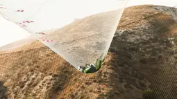 Skydiver, Luke Aikins mendarat di jaring raksasa setelah terjun bebas dari pesawat di atas ketinggian 25.000 kaki tanpa parasut dan wingsuit, di Simi Valley, California, Sabtu (30/7). Aksi pria 42 tahun itu berhasil memecahkan rekor dunia.  (AFP)