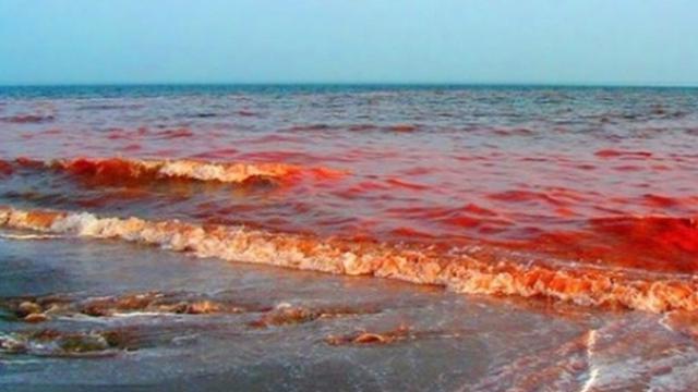 7 Fenomena Alam Langka Yang Buktikan Bumi Adalah Planet Penuh Misteri Citizen6 Liputan6 Com