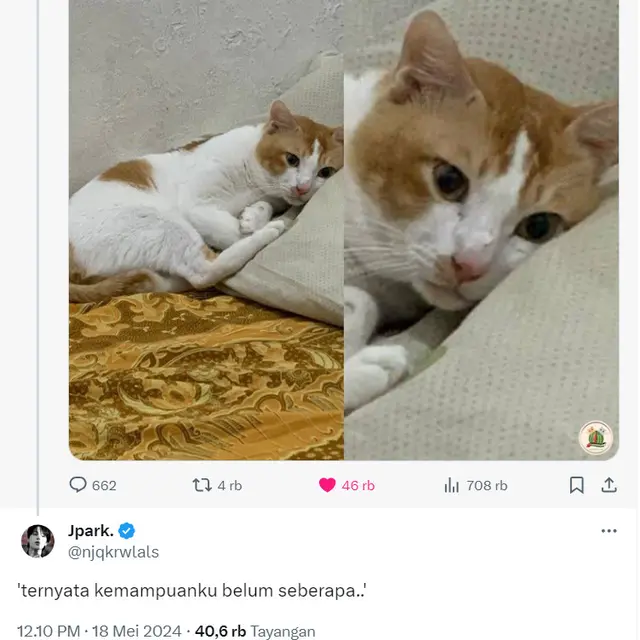 6 Kreativitas Netizen Bikin Dialog dari Foto Kucing Melamun Ini Kocak